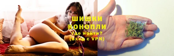 молекула духа Вязники