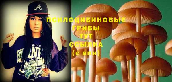 молекула духа Вязники
