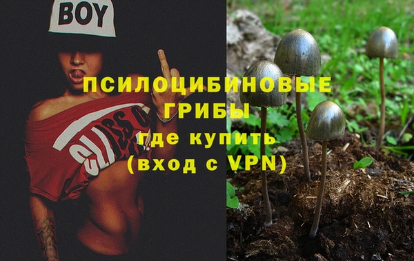 герыч Вязьма