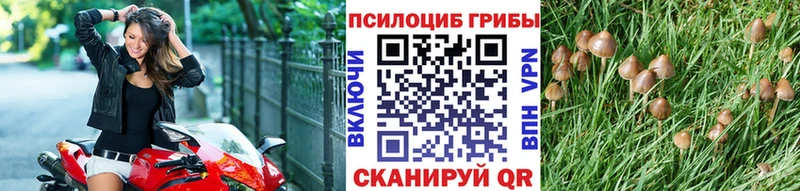 Галлюциногенные грибы MAGIC MUSHROOMS  Тюмень 